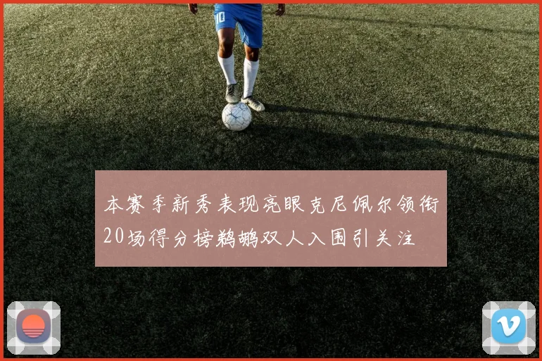 本赛季新秀表现亮眼克尼佩尔领衔20场得分榜鹈鹕双人入围引关注