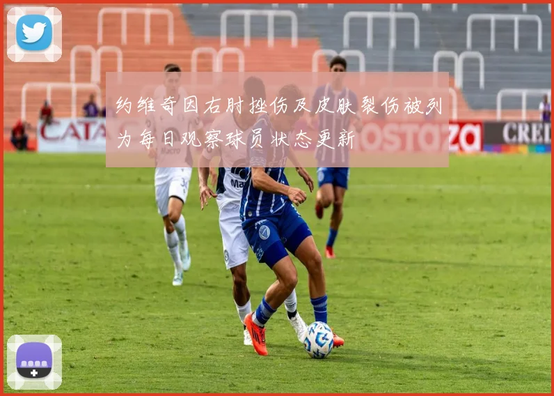 约维奇因右肘挫伤及皮肤裂伤被列为每日观察球员状态更新