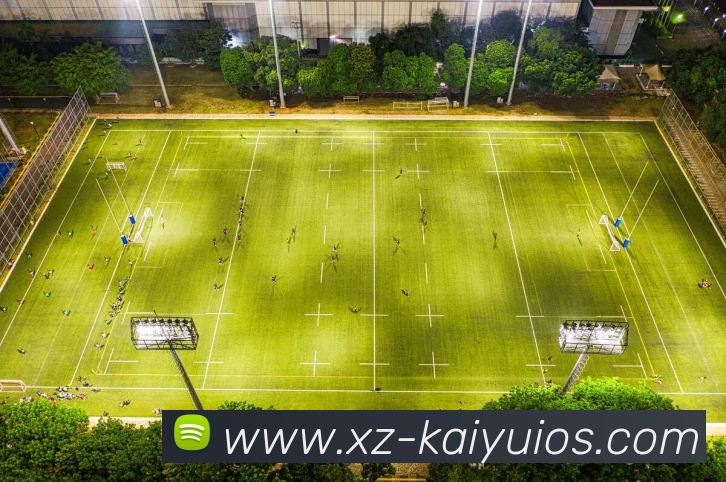 多媒体互动体验